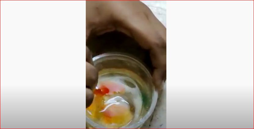 Rabbit slime making video made by Sharankarthikeyan